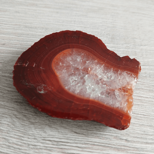 Versteend hout – Aarding &amp; Geduld (12.071)
