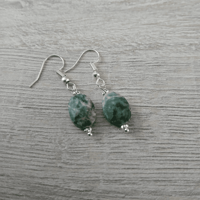 Oorbellen – Boomagaat – zilverkleurig RVS (1.289)